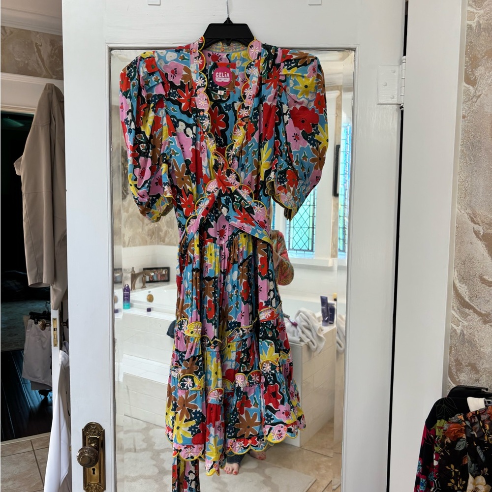 CeliaB Pink and Blue Puff Sleeve Midi Dress